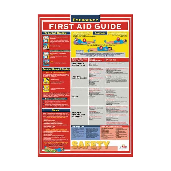 First Aid Guide, 18 in H x, 24 in W, Laminated